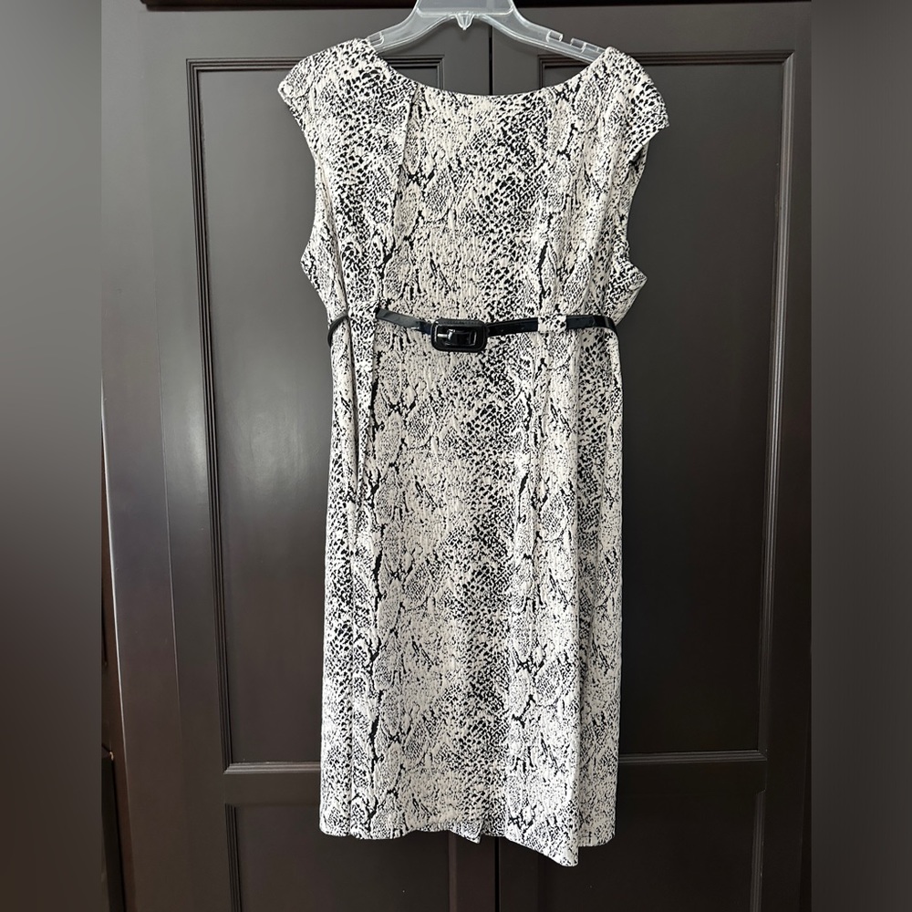 Fitted Dress with Belt